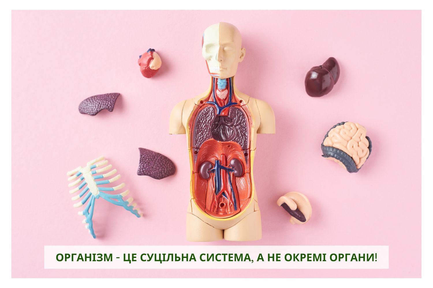 функціональна медицина