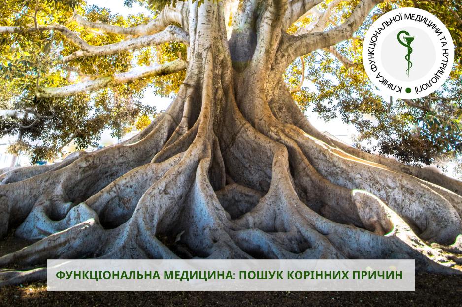 функціональна медицина