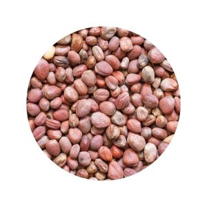Органічне насіння редиски для пророщування | Organic Radish Seeds for Sprouting | 30 g